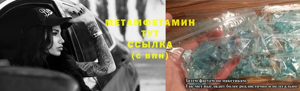 молекула духа Вяземский