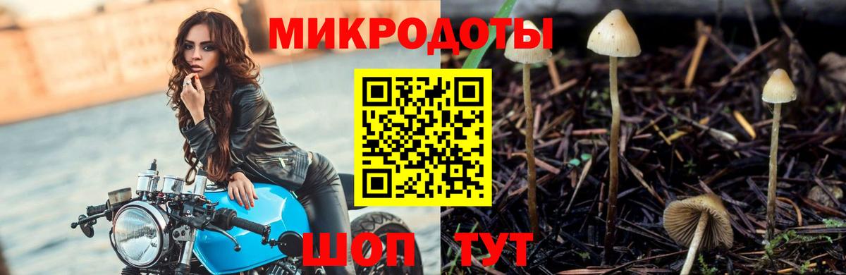 Псилоцибиновые грибы мухоморы Нефтеюганск